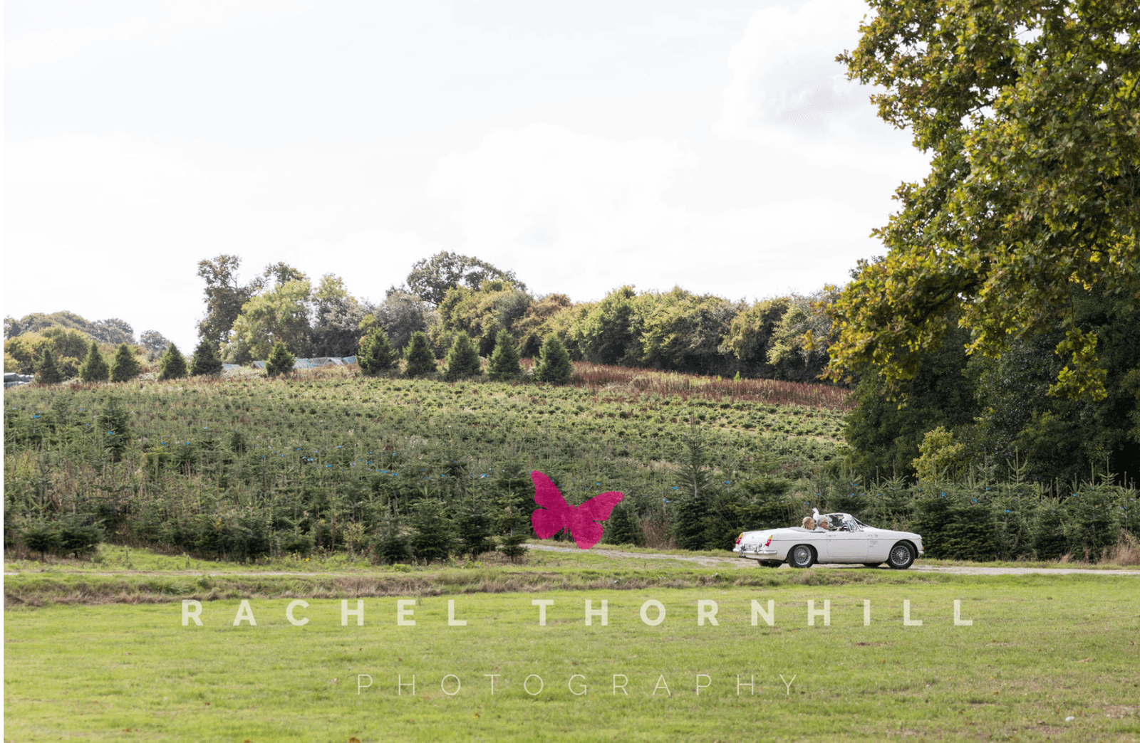 Vintage car through the fields